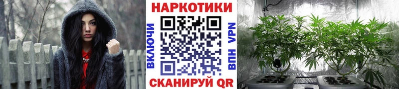 Купить наркотики сайты Вилючинск Гашиш  АМФЕТАМИН  А ПВП  Мефедрон  COCAIN 