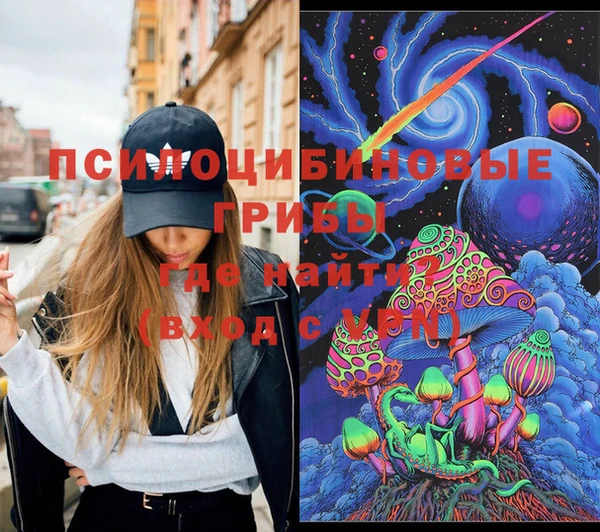 гидропоника Чердынь