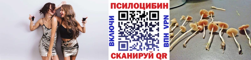 наркотики  Вилючинск  Галлюциногенные грибы Magic Shrooms 